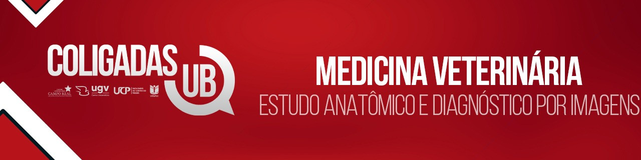 Estudo